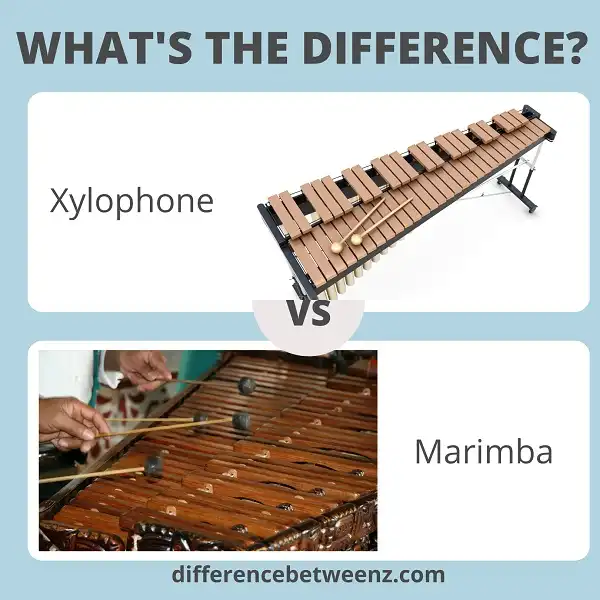Difference between Xylophone and Marimba