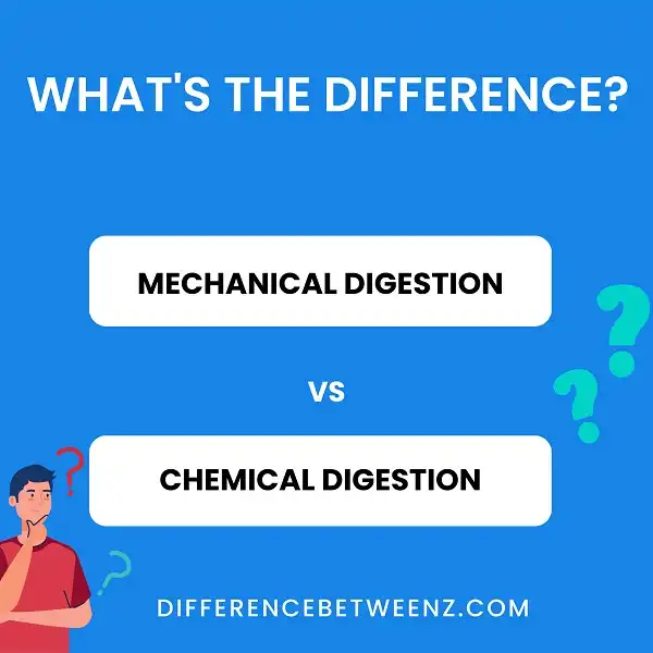 What is the difference between Mechanical and Chemical Digestion