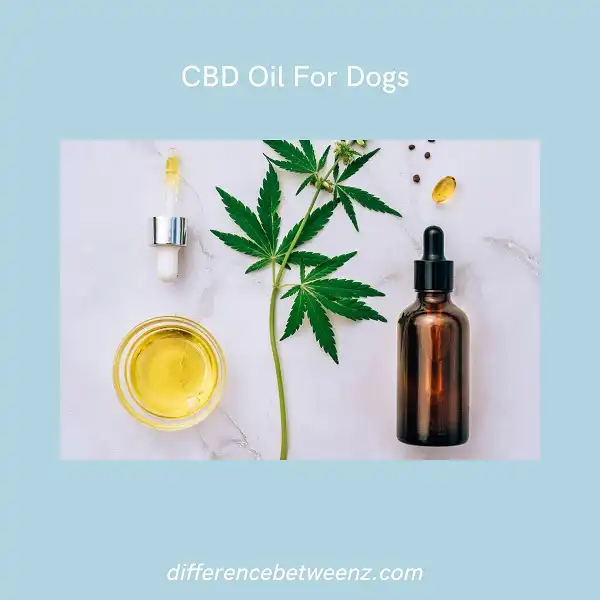 CBD Oil for Dogs: What does CBD Oil do to my dog