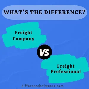 Difference between Freight Company And Freight Professional