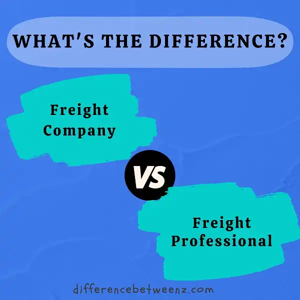 Difference between Freight Company And Freight Professional