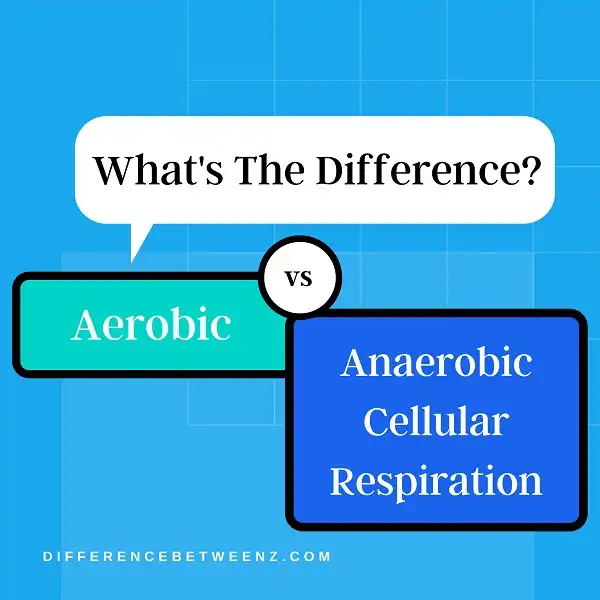 Difference between Aerobic and Anaerobic Cellular Respiration
