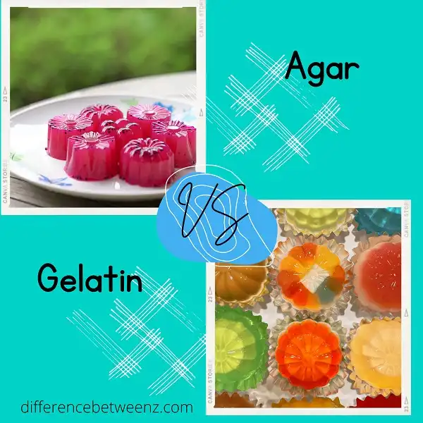 Difference between Agar and Gelatin