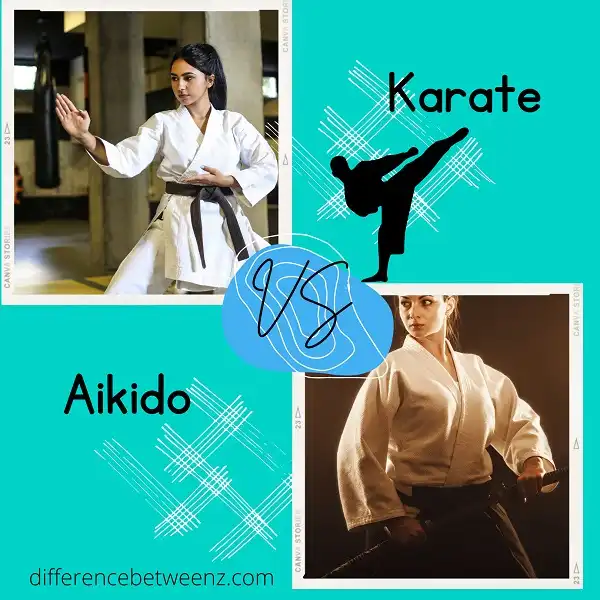 Difference between Aikido and Karate