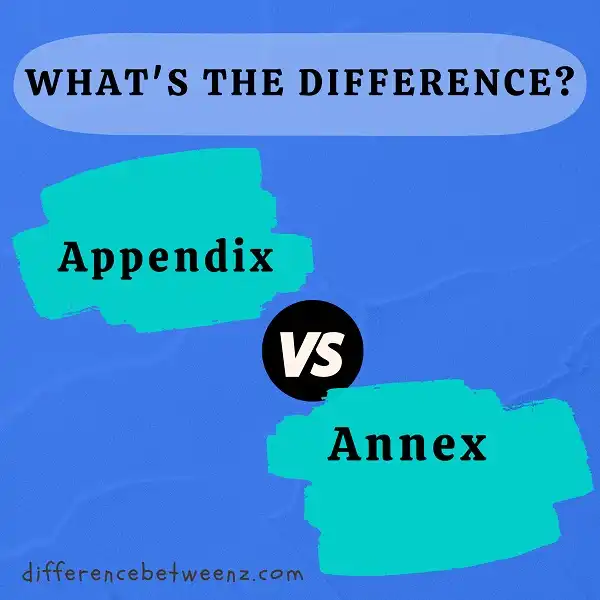 Difference between Appendix and Annex
