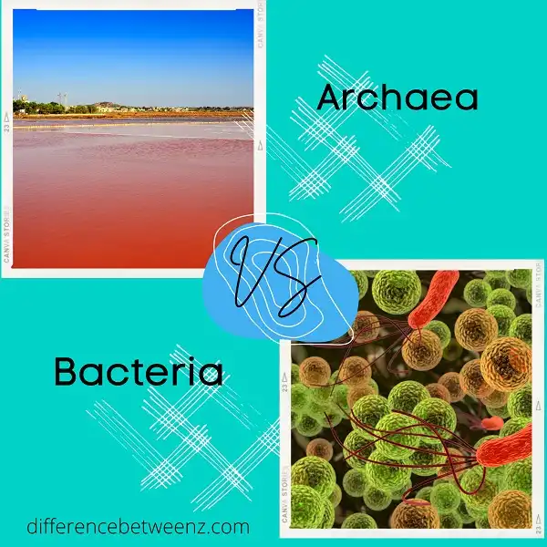 Difference between Archaea and Bacteria