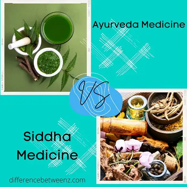 Difference between Ayurveda and Siddha Medicine