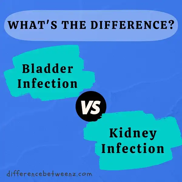 Difference between Bladder and Kidney Infection