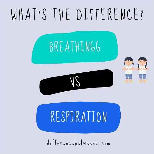 Difference between Breathing and Respiration