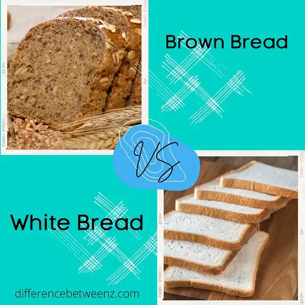 Difference between Brown Bread and White Bread