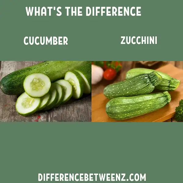 Difference between Cucumber and Zucchini
