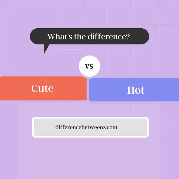 Difference between Cute and Hot