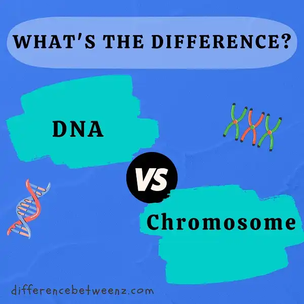 Difference between DNA and Chromosome