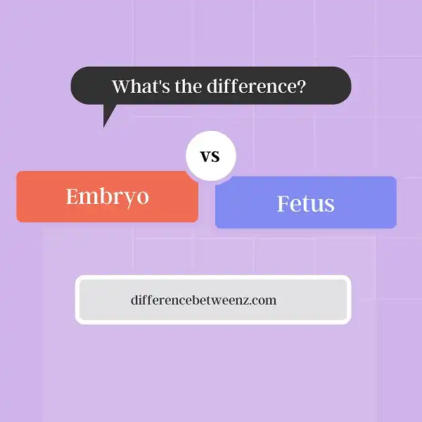 Difference between Embryo and Fetus