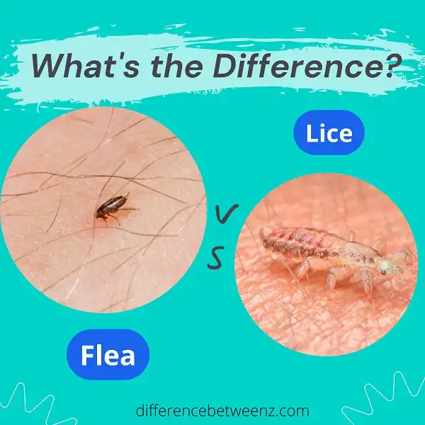 Difference between Fleas and Lice