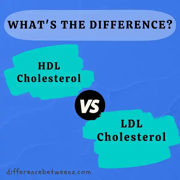 Difference between HDL and LDL Cholesterol