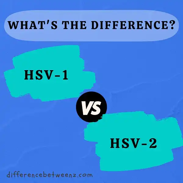 Difference between HSV-1 and HSV-2