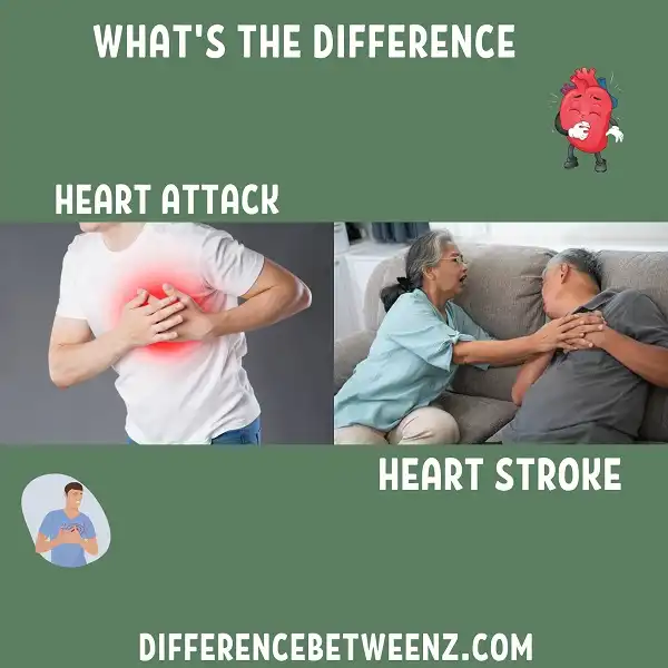 Difference between Heart Attack and Stroke