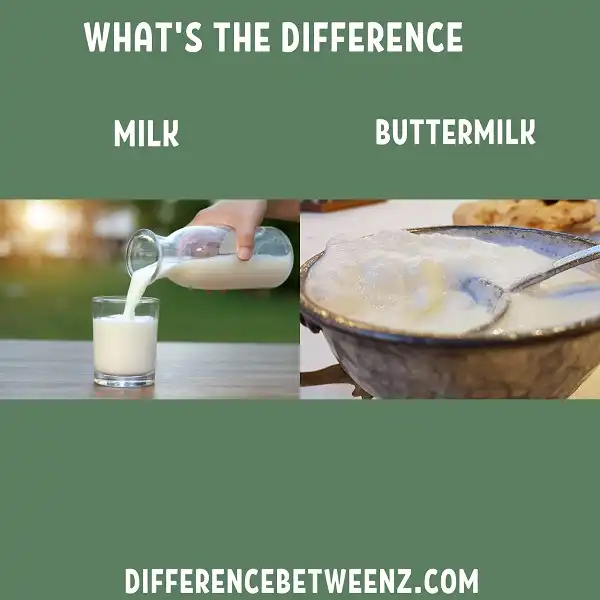 Difference between Milk and Buttermilk