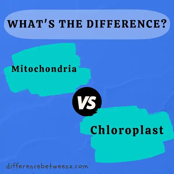 Difference between Mitochondria and Chloroplast
