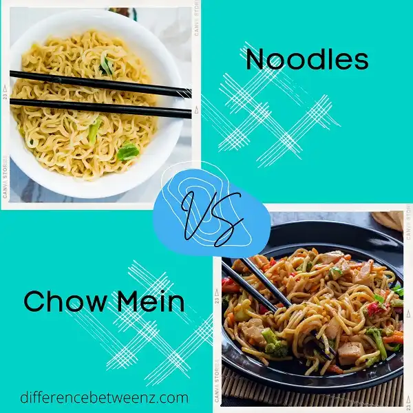 Difference between Noodles and Chow Mein
