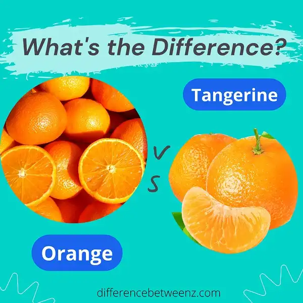 Difference between Orange and Tangerine