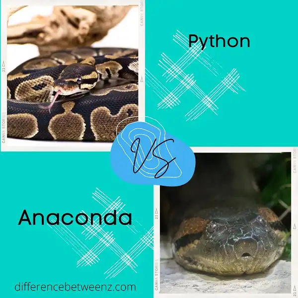 Difference between Python and Anaconda Difference Betweenz