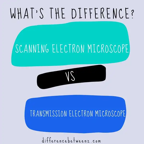 Difference between Scanning Electron Microscope and Transmission Electron Microscope