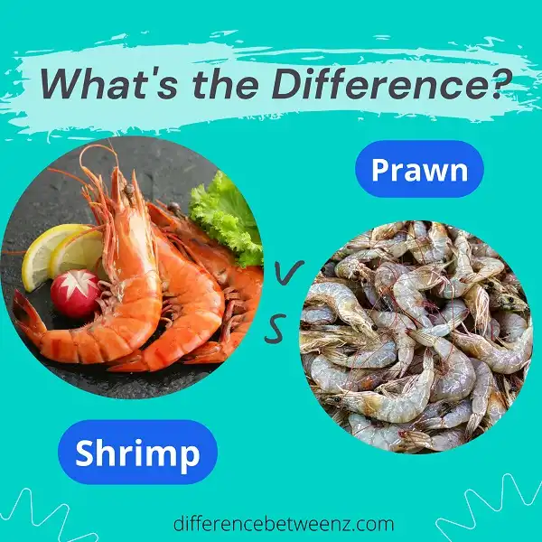 Difference between Shrimp and Prawn