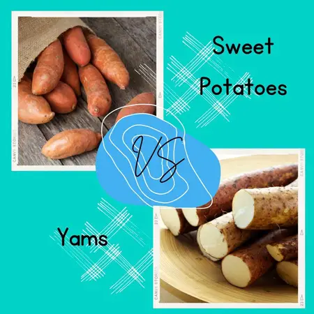 Difference between Sweet Potatoes and Yams