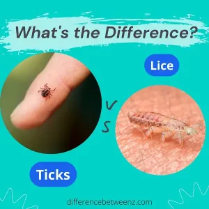 Difference between Ticks and Lice