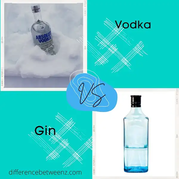 Difference between Vodka and Gin