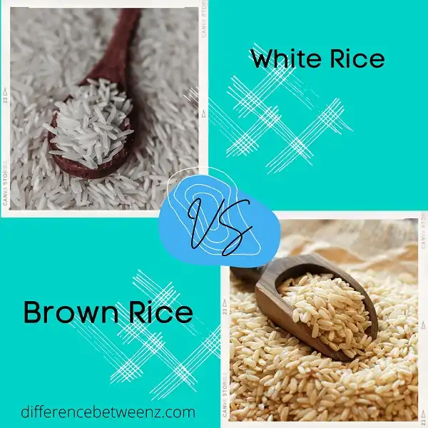 Difference between White Rice and Brown Rice
