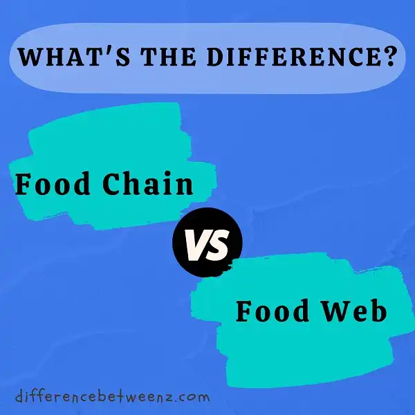 Difference between the Food Chain and the Food Web