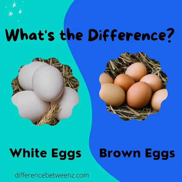 difference between white eggs and brown eggs