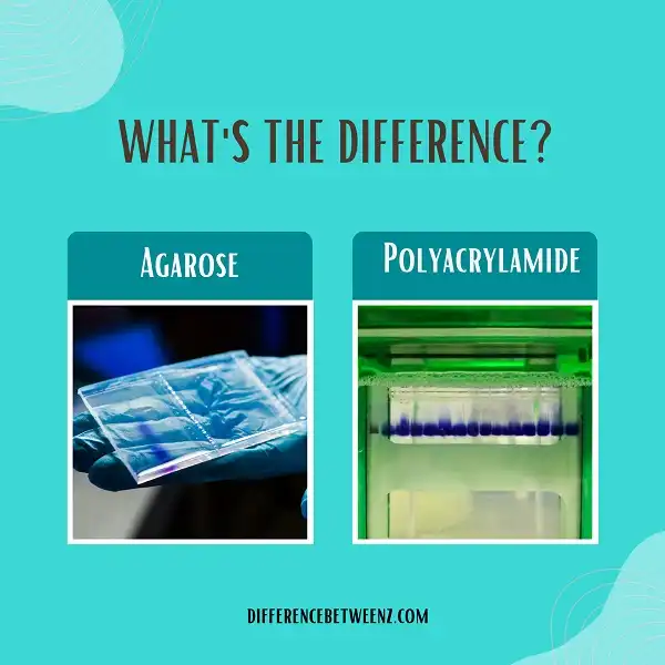 Difference between Agarose and Polyacrylamide