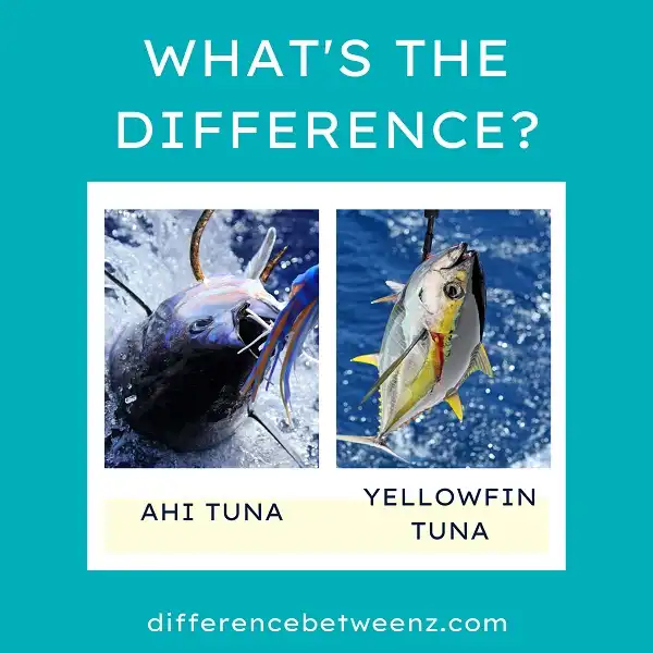 Difference between Ahi and Yellowfin Tuna