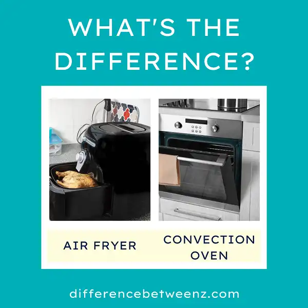 Difference between Air Fryer and Convection Oven