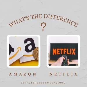 Difference between Amazon and Netflix