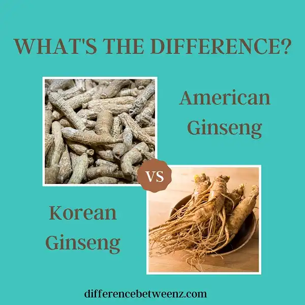 Difference between American Ginseng and Korean Ginseng
