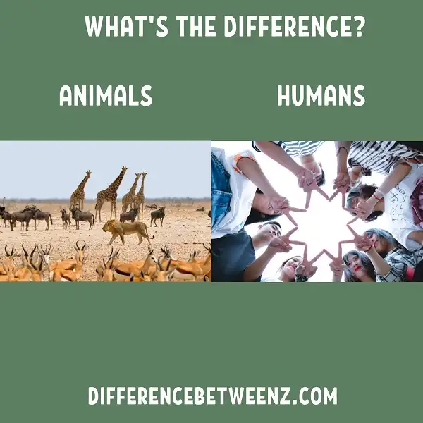 Difference between Animals and Humans