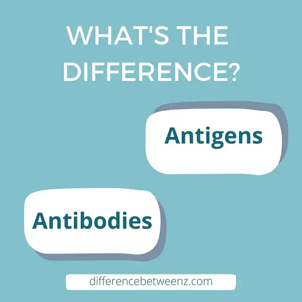 Difference between Antigens and Antibodies