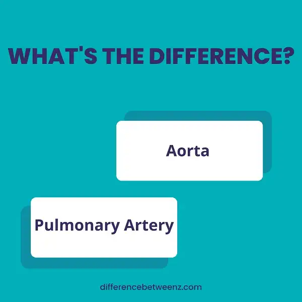 Difference between Aorta and Pulmonary Arteries