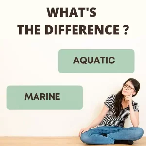Difference between Aquatic and Marine