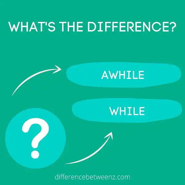 Difference between Awhile and While