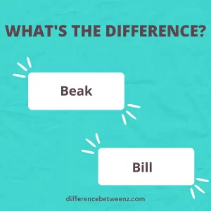 Difference between Beak and Bill
