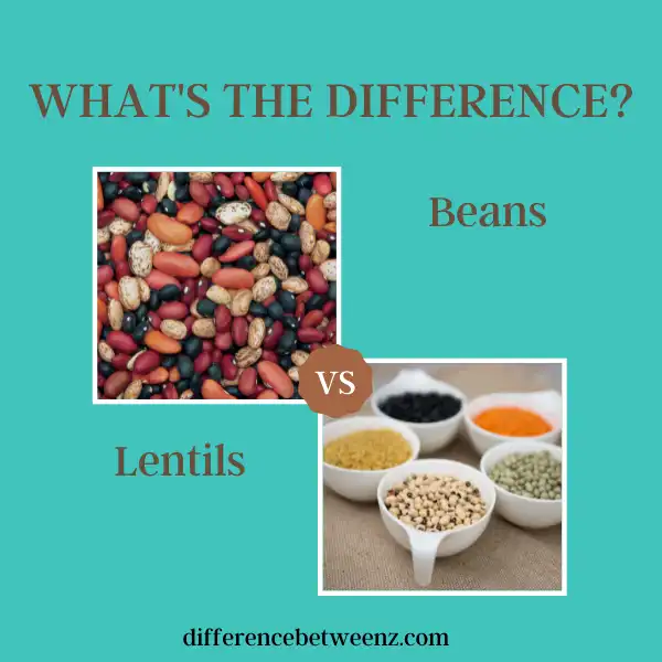 Difference between Beans and Lentils