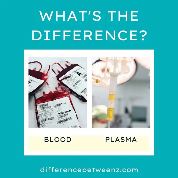 Difference between Blood and Plasma