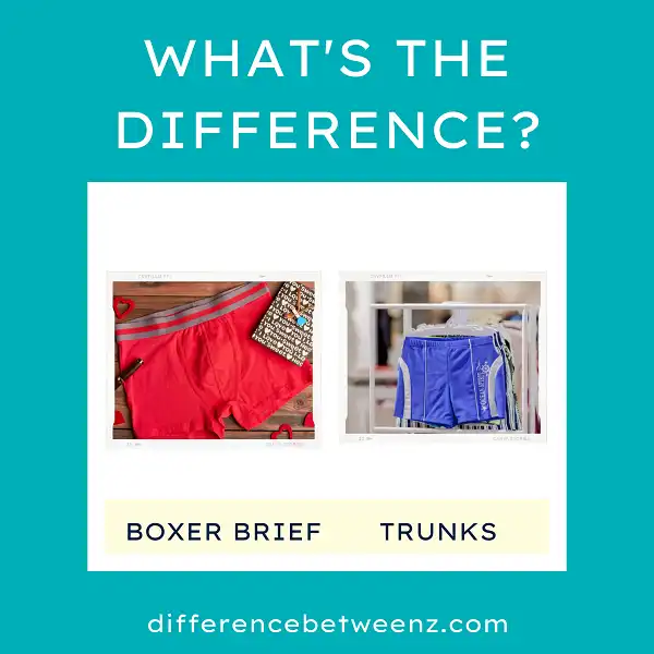 Difference between Boxer Briefs and Trunks