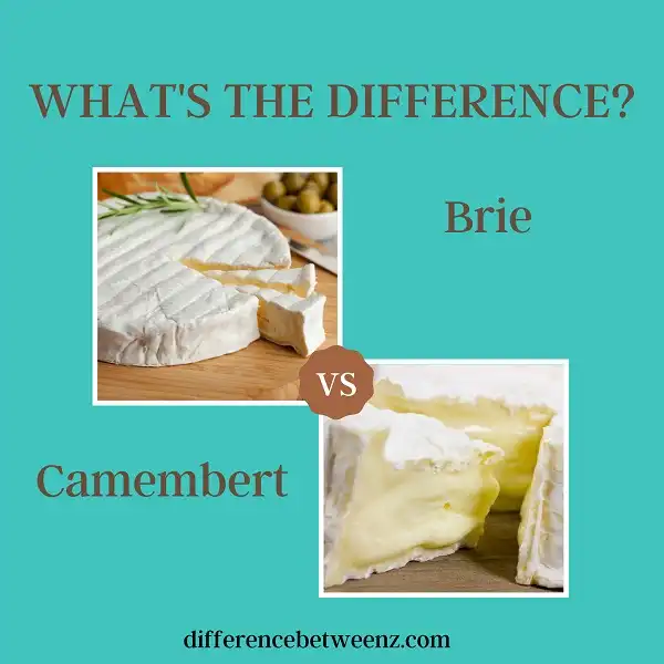 Difference between Brie and Camembert